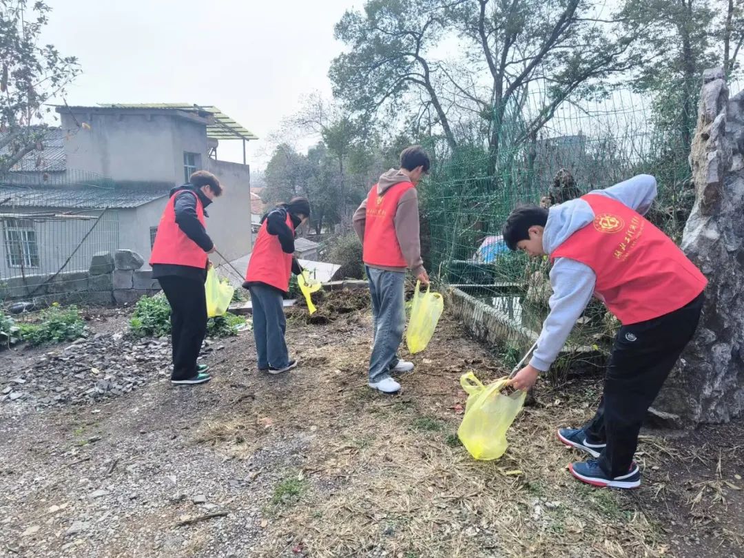 67ce88f6077b0.jpg 5.jpg