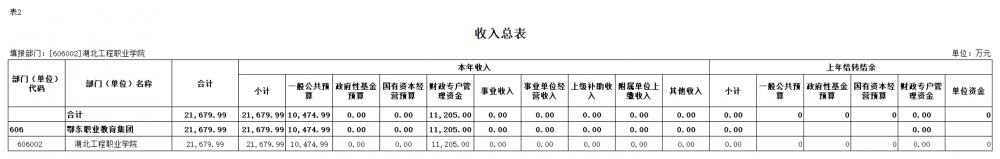 2024年黄石市部门（单位）预算公开情况说明-湖北工程职业学院_20.png