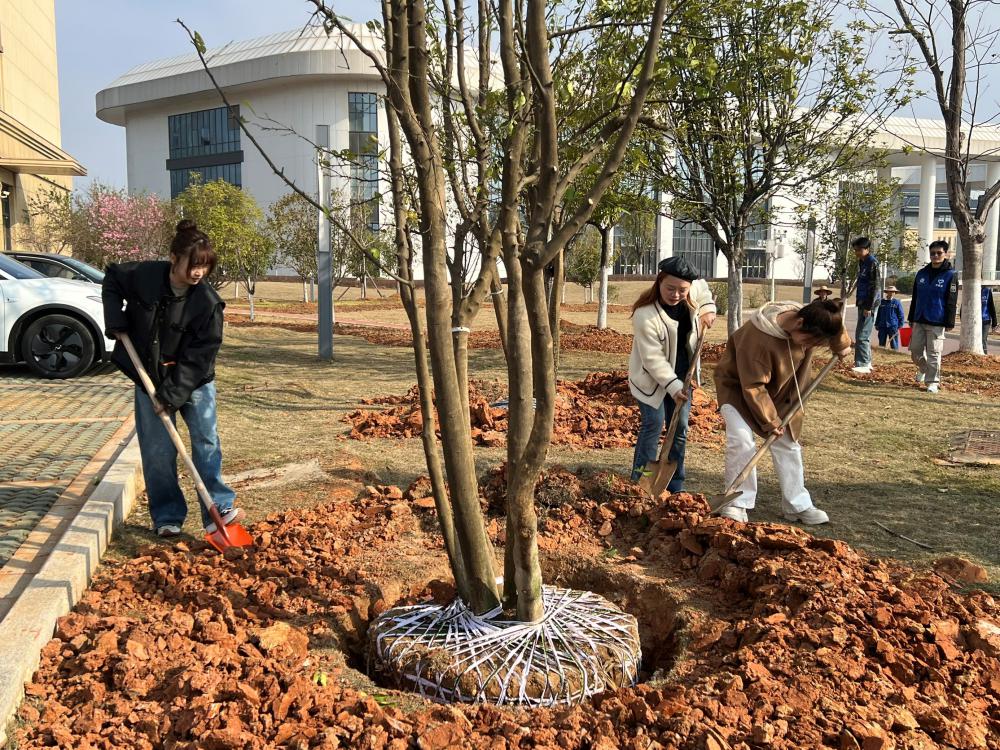 植树1.jpg
