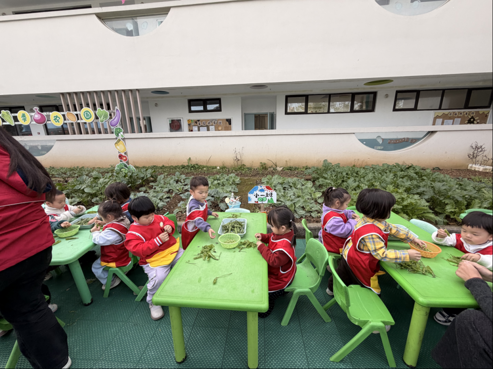 6915c73049854.png 图片8.png